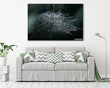 A dandelion seed with a drop of dew on a dark background. Select (vászonkép) - vászonkép, falikép otthonra és irodába
