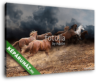 A lovak állományának gyors futása a sztyeppen keresztül - vászonkép 3D látványterv
