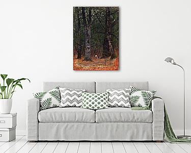 Ember a fák között (színverzió 1.) (vászonkép) - vászonkép, falikép otthonra és irodába