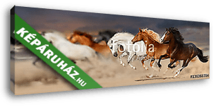 A lóállomány a sivatagi porban galopp vándorol a naplemente viha - vászonkép 3D látványterv