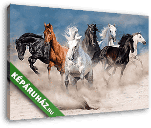 A lóállomány sivatagi porviharban fut - vászonkép 3D látványterv