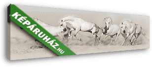 A fehér lóállomány sivatagi porban fut. Világos panoráma a weben - vászonkép 3D látványterv