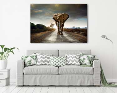 Gyalogoló elefánt (vászonkép) - vászonkép, falikép otthonra és irodába