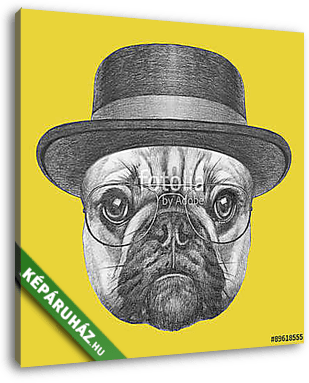 Portrait of French Bulldog with hat and glasses. Hand drawn illu - vászonkép 3D látványterv