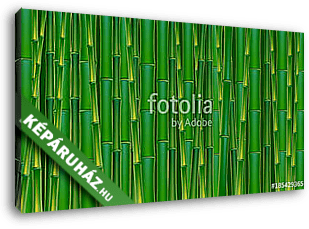 Zöld bambusz háttér. - vászonkép 3D látványterv