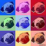 Pug Puppy Dog PopArt Vector vászonkép, poszter vagy falikép