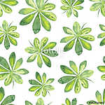 Zöld leveles növény tapétaminta vászonkép, poszter vagy falikép