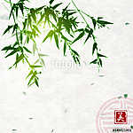 Zöld bambusz kézzel készített rizspapír háttérrel. Hagyományos o vászonkép, poszter vagy falikép