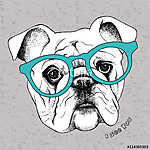 Image the portrait of a bulldog in the glasses. Vector illustrat vászonkép, poszter vagy falikép