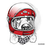 The image of the dog Racer in the modern helmet. Vector illustra vászonkép, poszter vagy falikép
