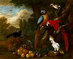 Két ara papagáj, egy kakadu és egy szajkó gyümölcsökkel vászonkép, poszter vagy falikép