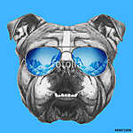 Portrait of English Bulldog mirror sunglasses. Hand drawn illust vászonkép, poszter vagy falikép