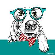 The image dog Basset Hound portrait in the glasses and with bow. vászonkép, poszter vagy falikép