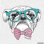 Image the portrait of a bulldog with a bow and in the glasses. V vászonkép, poszter vagy falikép