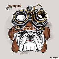 The image of the bulldog portrait in the Steampunk helmet. Vecto vászonkép, poszter vagy falikép