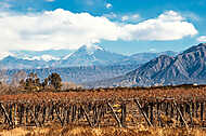 Volcano Aconcagua és a szőlőskert, Mendoza argentin tartomány vászonkép, poszter vagy falikép