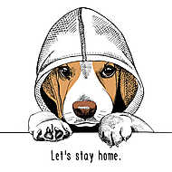 The image of the dog Beagle in the hood. Vector illustration. vászonkép, poszter vagy falikép