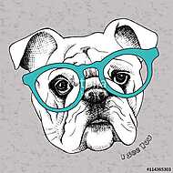 Image the portrait of a bulldog in the glasses. Vector illustrat vászonkép, poszter vagy falikép