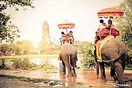 Elefántok Ayutthayában vászonkép, poszter vagy falikép