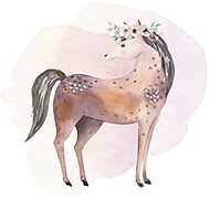 Akvarell háziállatok - lovacska vászonkép, poszter vagy falikép