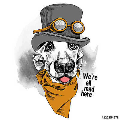 Portrait funny dog wearing steampunk top hat with glasses and cr (fotótapéta) - vászonkép, falikép otthonra és irodába