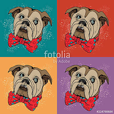 Portrait of dog Bulldog. Pop art vector pattern. Illustration for T-shirt graphics, fashion print, poster, textiles.. (keretezett kép) - vászonkép, falikép otthonra és irodába