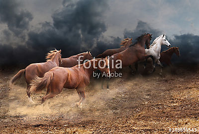 A lovak állományának gyors futása a sztyeppen keresztül (bögre) - vászonkép, falikép otthonra és irodába