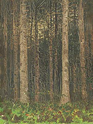 Erdei fák (többrészes kép) - vászonkép, falikép otthonra és irodába