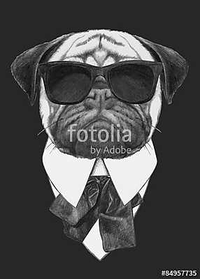 Hand drawn fashion Illustration of Pug Dog with sunglasses. Vect (keretezett kép) - vászonkép, falikép otthonra és irodába