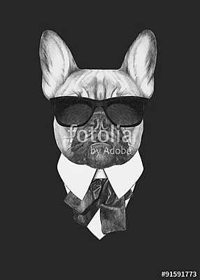 Portrait of French Bulldog in suit. Hand drawn illustration. (keretezett kép) - vászonkép, falikép otthonra és irodába