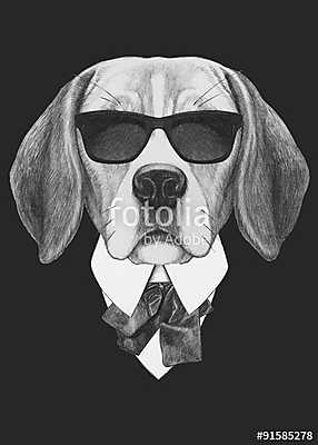 Portrait of Beagle dog in suit. Hand drawn illustration. (többrészes kép) - vászonkép, falikép otthonra és irodába
