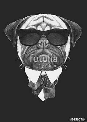 Portrait of Pug Dog in suit. Hand drawn illustration. (többrészes kép) - vászonkép, falikép otthonra és irodába