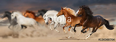 A lóállomány a sivatagi porban galopp vándorol a naplemente viha (poszter) - vászonkép, falikép otthonra és irodába