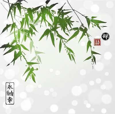 Zöld bambusz fehér háttéren. Hieroglfot tartalmaz (többrészes kép) - vászonkép, falikép otthonra és irodába