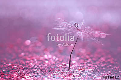 A dandelion seed with a drop of water is in sparkling sparkles.  (fotótapéta) - vászonkép, falikép otthonra és irodába