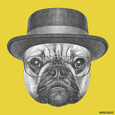 Portrait of French Bulldog with hat and glasses. Hand drawn illu (poszter) - vászonkép, falikép otthonra és irodába