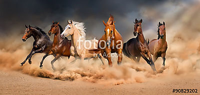 A lóállomány sivatagi homokviharban fut a drámai égbolton (poszter) - vászonkép, falikép otthonra és irodába